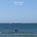 Don’t Wait: The New Single By Wild Horse